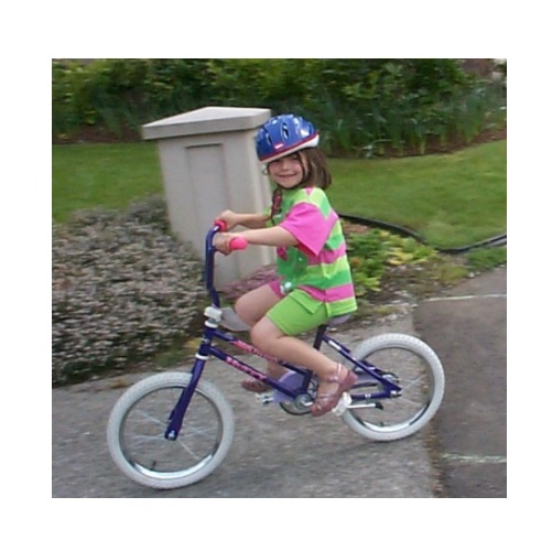 ride a bike in verbal behavior  category